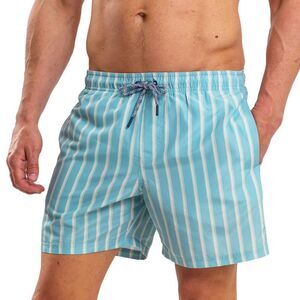 RIPT Essentials Mens Stripe Swim Shorts / Light Blue